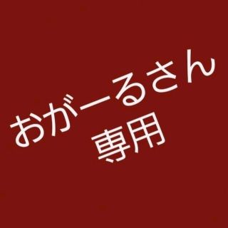 ★おがーるさん専用★オーダーです(ノート/メモ帳/ふせん)