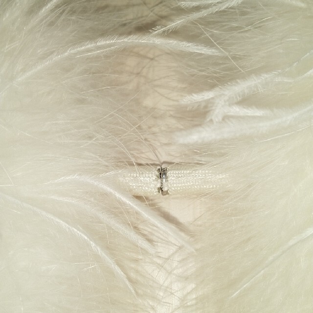 羽毛ストール　オーストリッチ レディースのファッション小物(マフラー/ショール)の商品写真