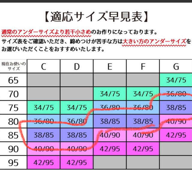 さらしブラ　小さく見せるブラ　ブラジャー　下着 レディースの下着/アンダーウェア(ブラ)の商品写真