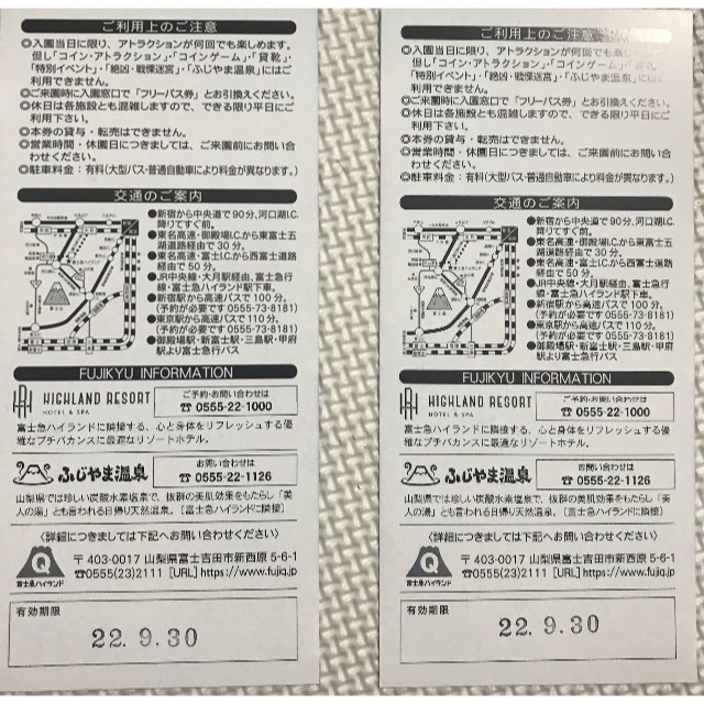富士急ハイランド フリーパス 2名分 追加可能 有効期限:2022年9月末