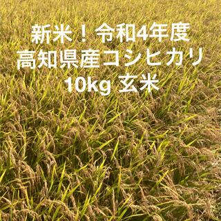 令和4年度高知県産コシヒカリ　10kg玄米(米/穀物)