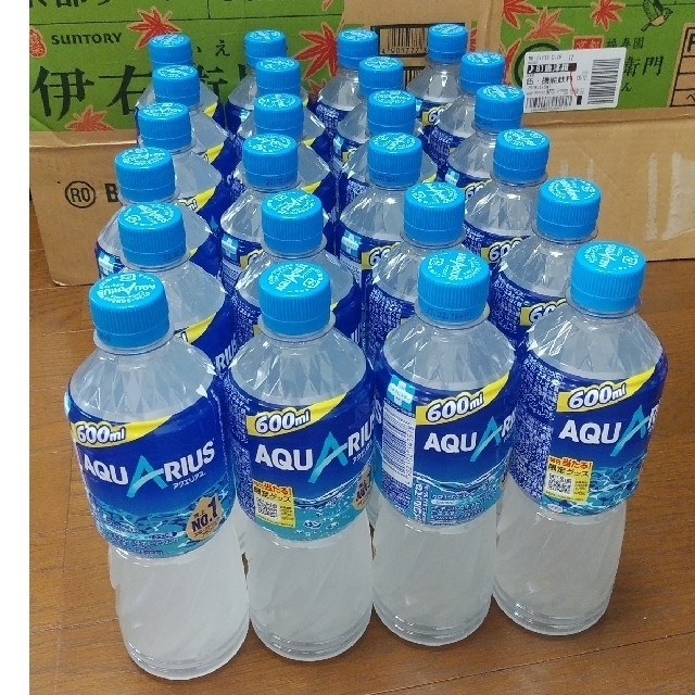 コカ・コーラ(コカコーラ)のアクエリアス 600ml 24本 食品/飲料/酒の飲料(ソフトドリンク)の商品写真