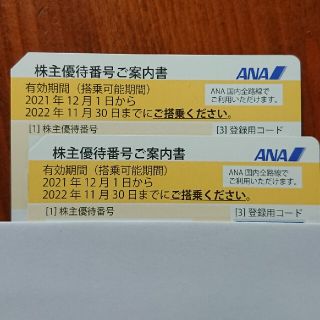 エーエヌエー(ゼンニッポンクウユ)(ANA(全日本空輸))のANA株主優待券 2枚(その他)