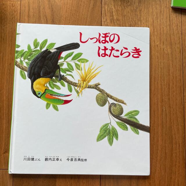 しっぽのはたらき エンタメ/ホビーの本(絵本/児童書)の商品写真