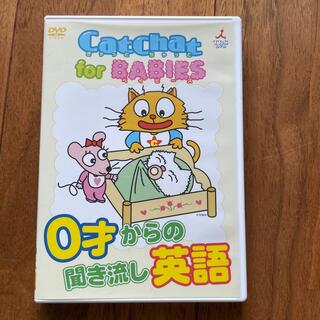 CatChat　for　BABIES DVD(キッズ/ファミリー)