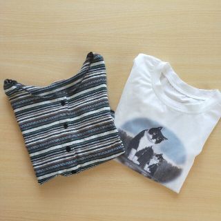 Tシャツ  ボーダー  猫  韓国  2枚組  可愛い♡♡短め へそ出し(カットソー(半袖/袖なし))