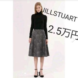 ジルスチュアート(JILLSTUART)のJILLSTUART　ジルスチュアート★ブリジット千鳥フロッキープリントスカート(ひざ丈スカート)