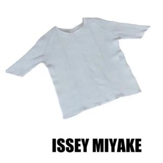 イッセイミヤケ(ISSEY MIYAKE)の美品 イッセイミヤケ プリーツ トップス Mサイズ相当(カットソー(半袖/袖なし))