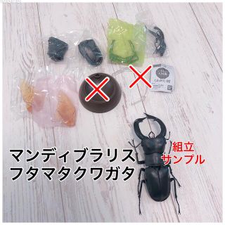 いきもの大図鑑 くわがた02 マンディブラリスフタマタクワガタ(その他)