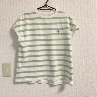 カンタベリー(CANTERBURY)の【レディース】カンタベリーTシャツ(Tシャツ(半袖/袖なし))