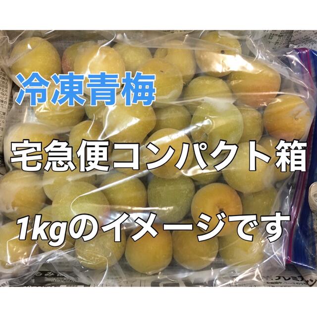 r019⚠️クール便 青梅「冷凍南高梅」Lサイズ 1kg シロップ 梅酒用 食品/飲料/酒の食品(フルーツ)の商品写真