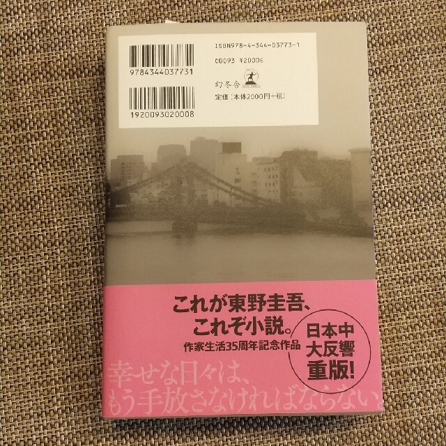 白鳥とコウモリ エンタメ/ホビーの本(その他)の商品写真