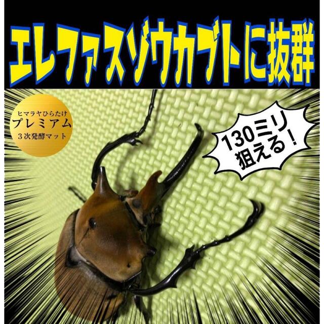 極上！プレミアム3次発酵カブトムシマット【80L】特殊アミノ酸強化配合！産卵にも