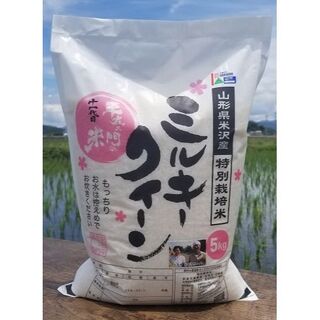 令和5年産　特別栽培米ミルキークイーン　精白米　5㎏(米/穀物)