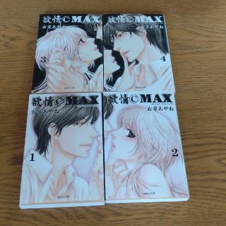 シュウエイシャ(集英社)の右京あかね「欲情©MAX」1~4巻(少女漫画)