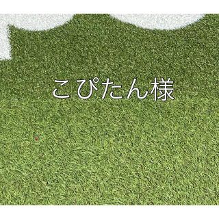 こぴたん様専用(その他)