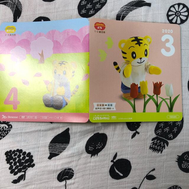 ☆送料無料☆ 当日発送可能 ちゃれんじぷち DVD