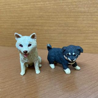 はしもとみお　ガチャガチャ　柴犬　フィギュア　ミニチュア(その他)