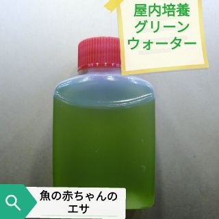 屋内培養グリーンウォーター約33ml(アクアリウム)