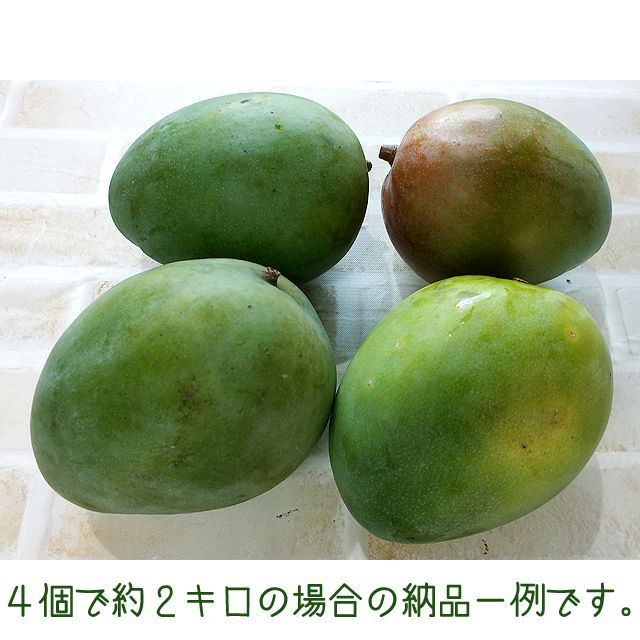 沖縄産訳あり「Ｂ級品」扱いキーツマンゴー約２キロ┃滑らかな食感が人気 食品/飲料/酒の食品(フルーツ)の商品写真