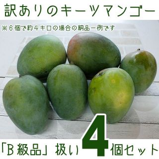 沖縄産訳あり「Ｂ級品」扱いキーツマンゴー約４キロ┃滑らかな食感が人気(フルーツ)