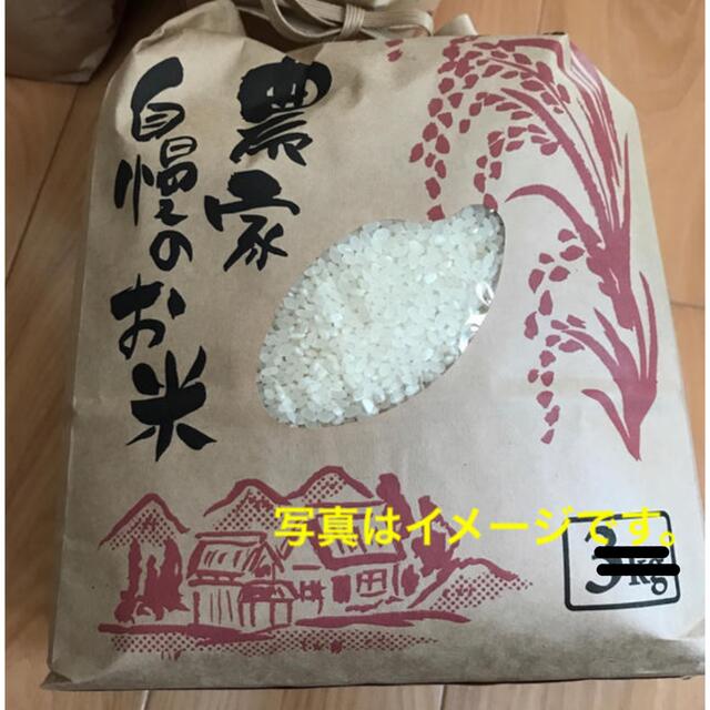 コシヒカリ　白米　20kg