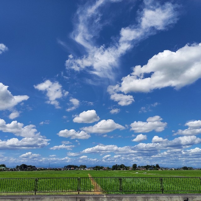 sun様 専用 売れ筋  メルカリは誰でも安