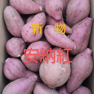 新物　種子島産安納紅2S〜Mサイズ混合3キロ(野菜)