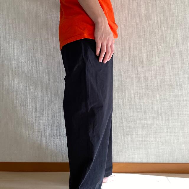 POLYPLOID ポリプロイド over pants type-B | eloit.com