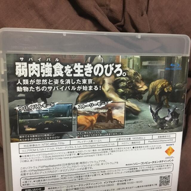 TOKYO JUNGLE（トーキョー ジャングル） PS3 エンタメ/ホビーのゲームソフト/ゲーム機本体(家庭用ゲームソフト)の商品写真