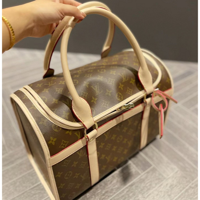 人気安い】 LOUIS VUITTON - ルイヴィトン サックシャン40 ペット