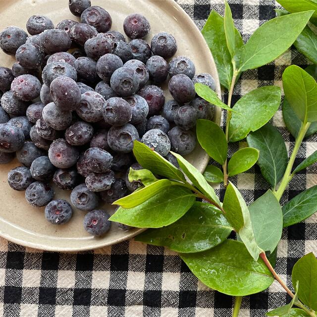 冷凍ブルーベリー　1キロ 食品/飲料/酒の食品(フルーツ)の商品写真