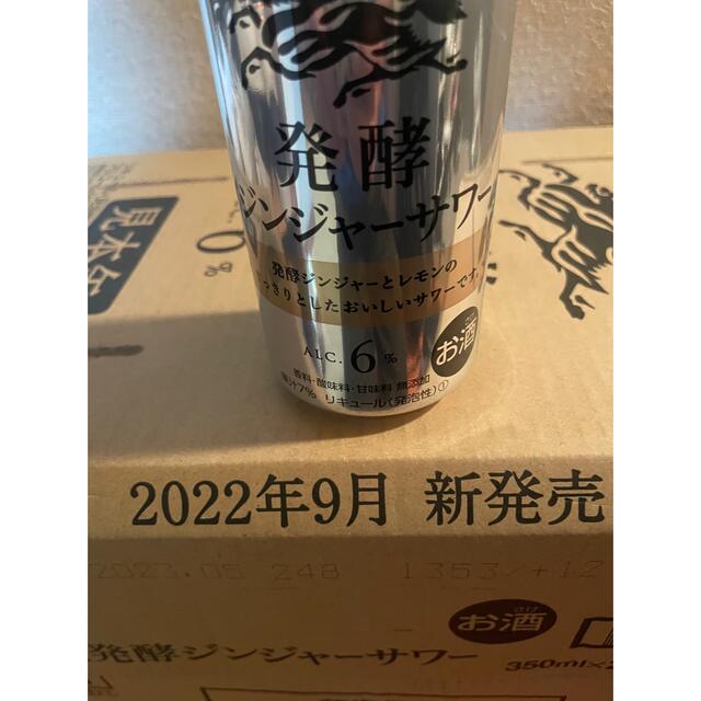 キリン(キリン)のキリンザ ・ストロング発酵ジンジャーサワー 食品/飲料/酒の酒(リキュール/果実酒)の商品写真