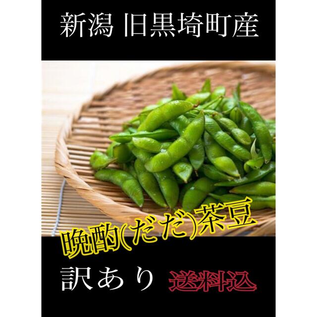 たぬきさんちの枝豆 新潟県産晩酌茶豆B品2kg 食品/飲料/酒の食品(野菜)の商品写真