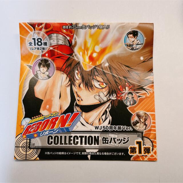 家庭教師ヒットマンREBORN! 沢田綱吉 缶バッジ リボーン ジャンプ展