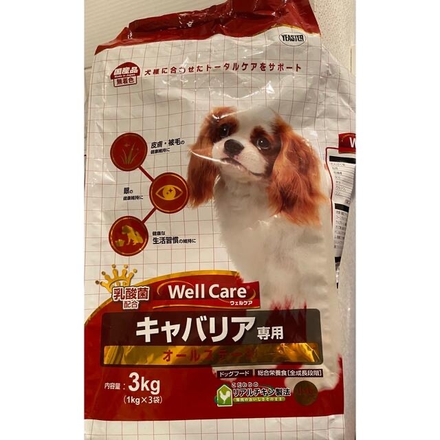 犬用シャンプー、リンス等 その他のペット用品(犬)の商品写真