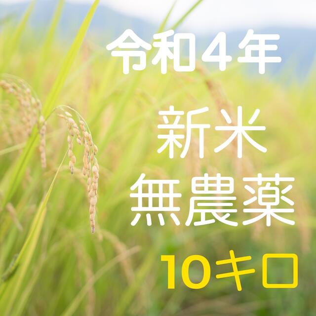 令和四年　新米無農薬コシヒカリ