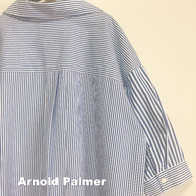 Arnold Palmer(アーノルドパーマー)の【Arnold Palmer】刺繍ロゴ ストライプピッチ切替 ドッキング シャツ レディースのトップス(シャツ/ブラウス(長袖/七分))の商品写真