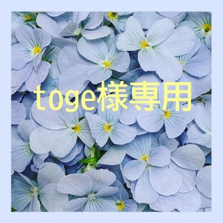 togeさま専用(その他)