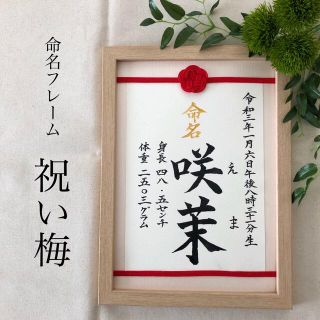 命名書オーダー　水引フレーム「祝い梅」通常版(命名紙)