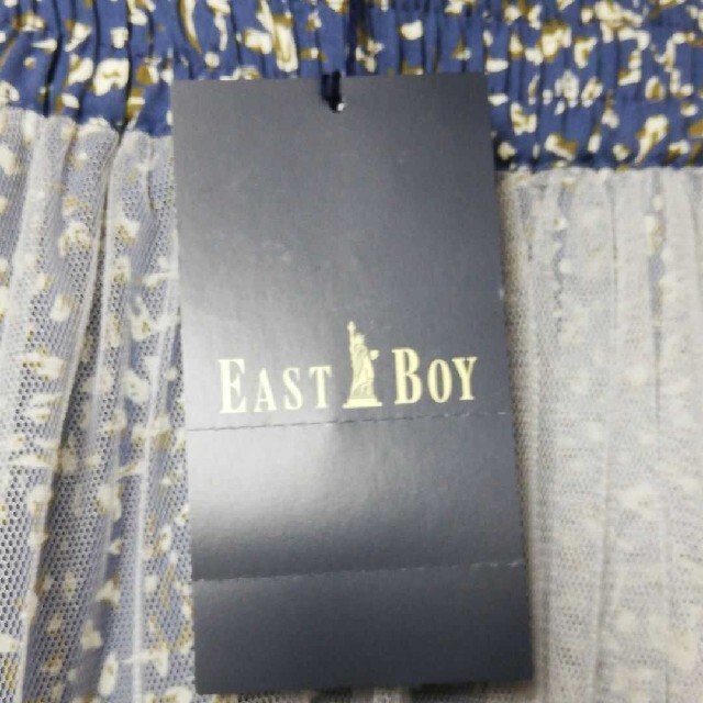 EASTBOY(イーストボーイ)のEASTBOY　フレアチュールスカート レディースのスカート(ロングスカート)の商品写真