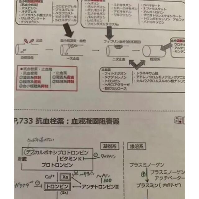 薬剤師国家試験 青本 まとめノート ヤマ 9科目分 エンタメ/ホビーの本(語学/参考書)の商品写真