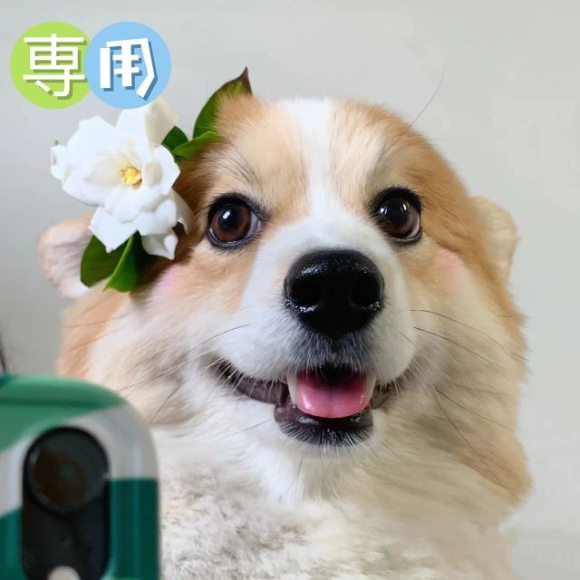 うさねこ様専用0823 | refeccs.com.br