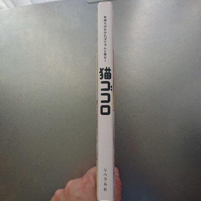 猫ゴコロ 気持ちが分かればにゃんと幸せ！ エンタメ/ホビーの本(住まい/暮らし/子育て)の商品写真