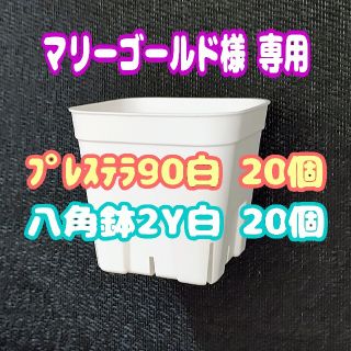 【スリット鉢】プレステラ90白20個 他 多肉植物 プラ鉢(プランター)