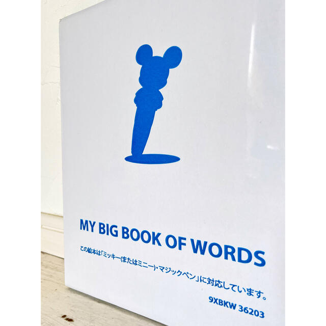 大人気SALE Disney - DWE マイビックブックオブワーズ 絵辞書
