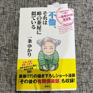 不倫、それは峠の茶屋に似ているたるんだ心に一喝！！一条ゆかりの金言集(文学/小説)