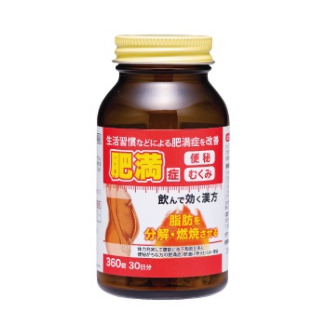 肥満症 むくみ 便秘 飲んで効く漢方 4個セット