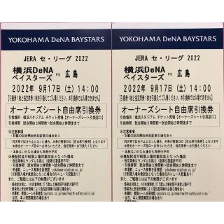 ヨコハマディーエヌエーベイスターズ(横浜DeNAベイスターズ)の横浜ベイスターズ　観戦ペアチケット(野球)