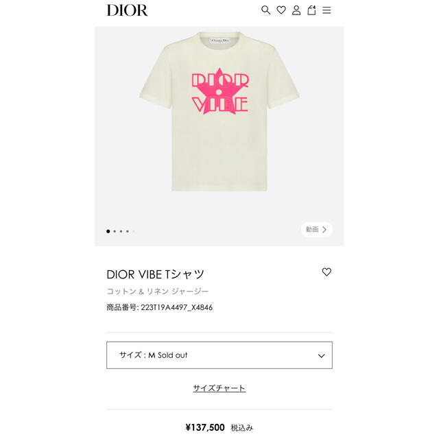 DIOR ディオール VIBE  Tシャツ 2022 新作✫